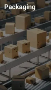 Packaging industry — carton conveyor