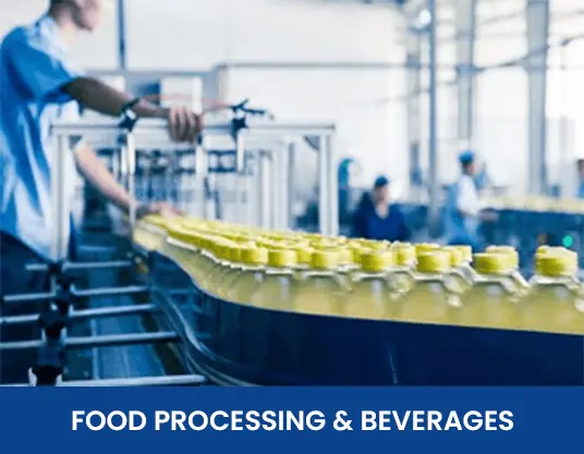 Food processing and beverages project two